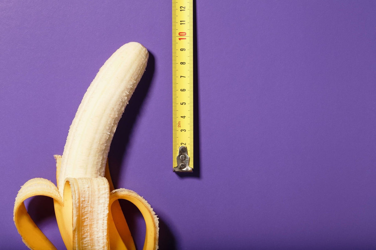 Measuring your penis: How to Measure Size Properly Guide – TMC Pty Ltd