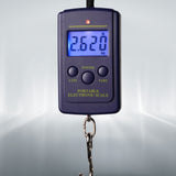 Traction Scales